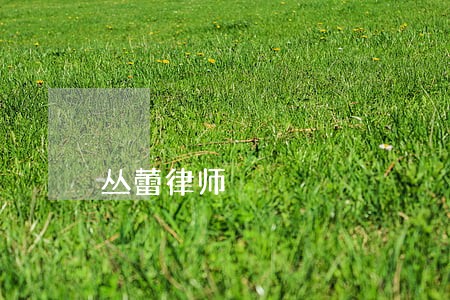丛蕾律师 丛蕾律师