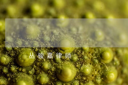 丛骏嘉律师 丛骏嘉律师