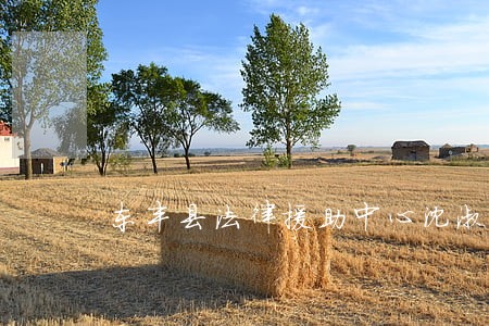 东丰县法律援助中心沈淑艳律师 东丰县法律援助中心沈淑艳律师
