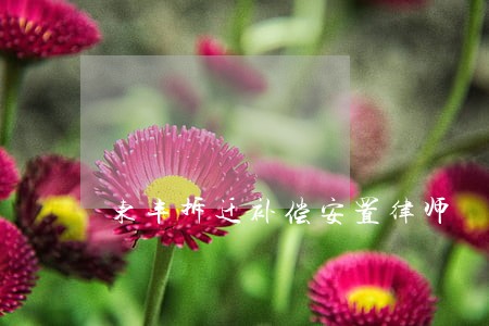 东丰拆迁补偿安置律师 东丰拆迁补偿安置律师