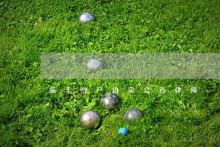 东丰资产拍卖公告律师 东丰资产拍卖公告律师