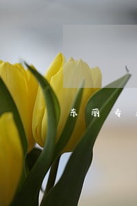 东丽专业刑事诉讼律师多少钱 东丽专业刑事诉讼律师多少钱