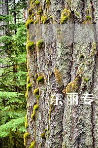 东丽专业房产纠纷律师所 东丽专业房产纠纷律师所