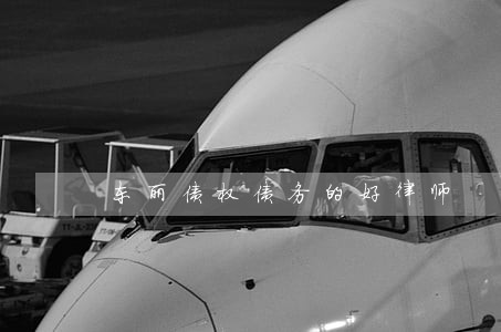 东丽债权债务的好律师 东丽债权债务的好律师