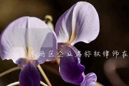 东丽区企业名称权律师在线咨询 东丽区企业名称权律师在线咨询
