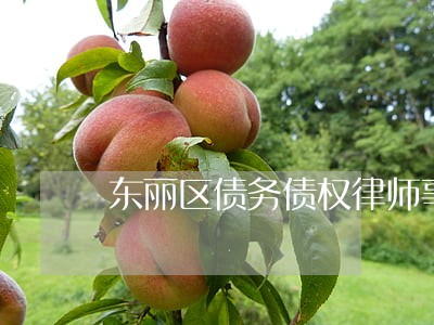 东丽区债务债权律师事务所 东丽区债务债权律师事务所