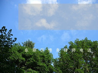 东丽区债务律师电话
