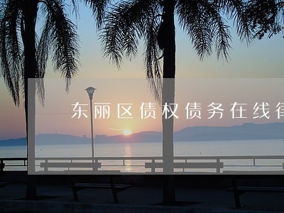东丽区债权债务在线律师咨询 东丽区债权债务在线律师咨询