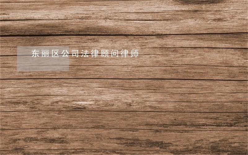 东丽区公司法律顾问律师 东丽区公司法律顾问律师