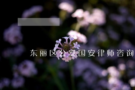 东丽区公安国安律师咨询电话 东丽区公安国安律师咨询电话