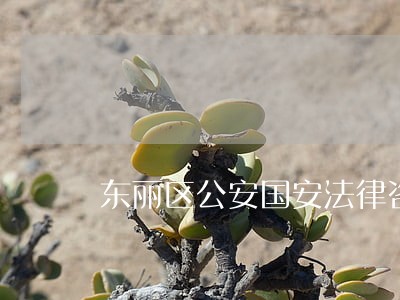 东丽区公安国安法律咨询热线 东丽区公安国安法律咨询热线