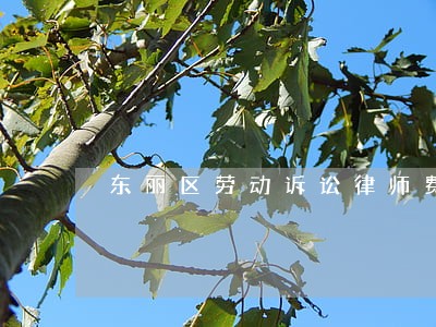东丽区劳动诉讼律师费用 东丽区劳动诉讼律师费用