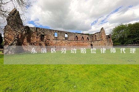 东丽区劳动赔偿律师代理费 东丽区劳动赔偿律师代理费