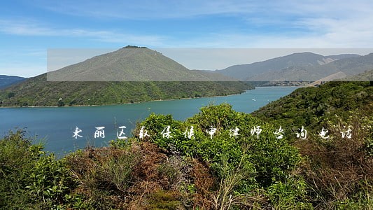 东丽区取保候审律师咨询电话