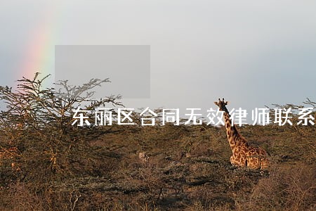 东丽区合同无效律师联系方式 东丽区合同无效律师联系方式