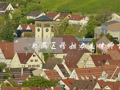 东丽区婚姻家庭律师前十名