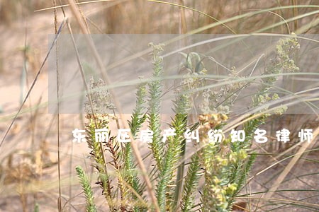 东丽区房产纠纷知名律师 东丽区房产纠纷知名律师