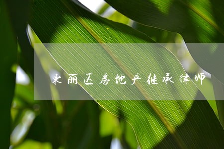 东丽区房地产继承律师 东丽区房地产继承律师