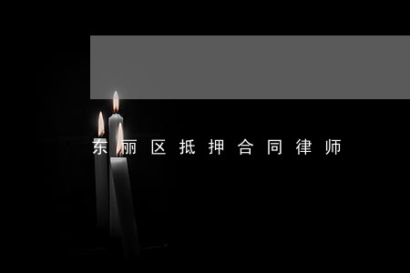 东丽区抵押合同律师 东丽区抵押合同律师