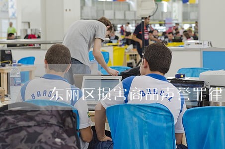 东丽区损害商品声誉罪律师哪个好