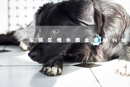 东丽区擅长商业活动纠纷律师 东丽区擅长商业活动纠纷律师