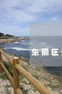 东丽区法律咨询在线 东丽区法律咨询在线