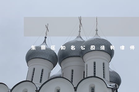 东丽区知名公司法务律师
