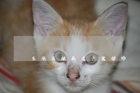 东丽区继承遗产案律师 东丽区继承遗产案律师