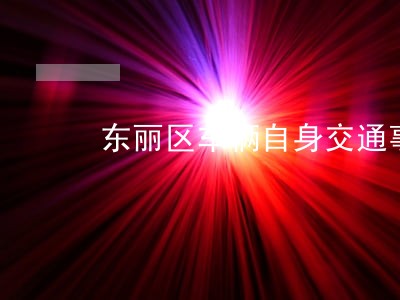 东丽区车辆自身交通事故诉讼流程