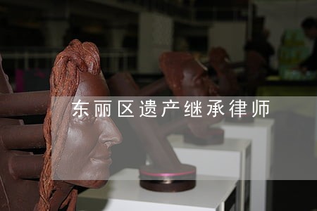 东丽区遗产继承律师