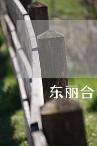 东丽合同纠纷律师排行