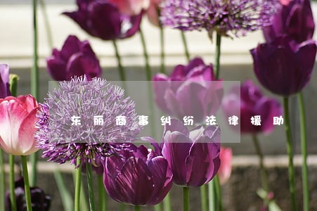 东丽商事纠纷法律援助 东丽商事纠纷法律援助