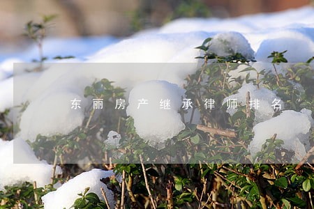 东丽房产继承律师排名