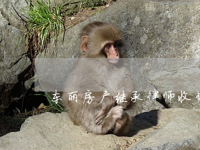 东丽房产继承律师收费 东丽房产继承律师收费