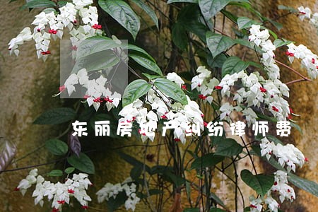 东丽房地产纠纷律师费 东丽房地产纠纷律师费