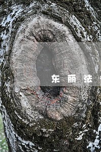 东丽法律咨询单位 东丽法律咨询单位
