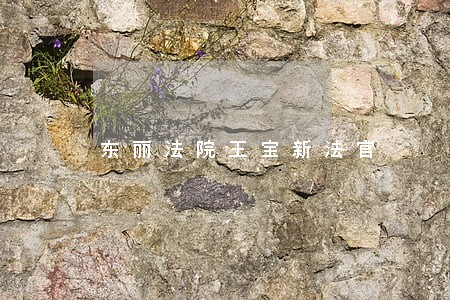 东丽法院王宝新法官 东丽法院王宝新法官