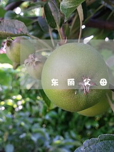 东丽父母遗产继承律师 东丽父母遗产继承律师