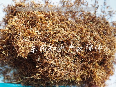 东丽知识产权律师