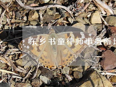 东乡书童律师事务所地址 东乡书童律师事务所地址