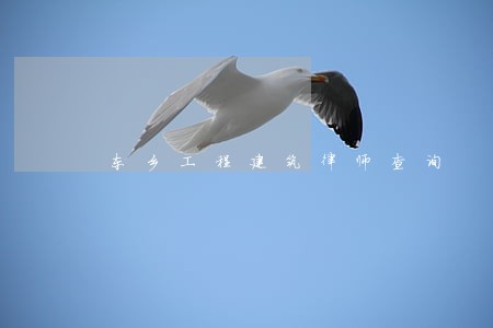 东乡工程建筑律师查询 东乡工程建筑律师查询