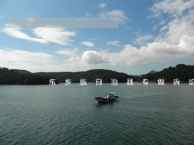 东乡族自治县专做诉讼律师 东乡族自治县专做诉讼律师
