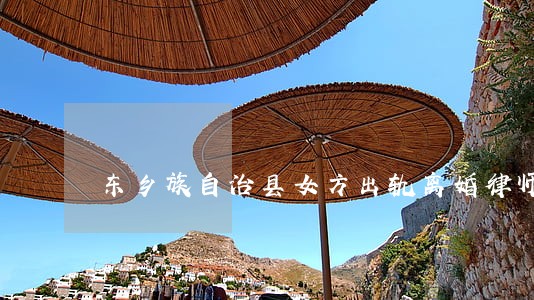 东乡族自治县女方出轨离婚律师 东乡族自治县女方出轨离婚律师