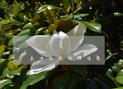 东乡法院招聘信息