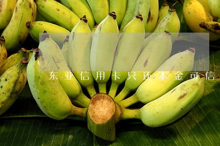 东亚信用卡只还本金可信吗 东亚信用卡只还本金可信吗