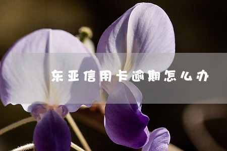 东亚信用卡逾期怎么办 东亚信用卡逾期怎么办