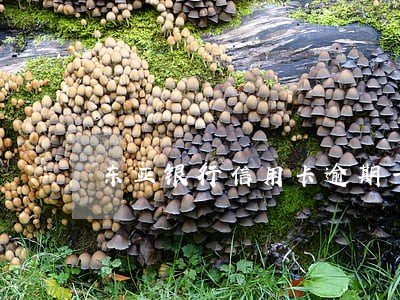 东亚银行信用卡逾期一天会怎么样 东亚银行信用卡逾期一天会怎么样