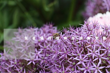 东亚银行信用卡逾期全额 东亚银行信用卡逾期全额