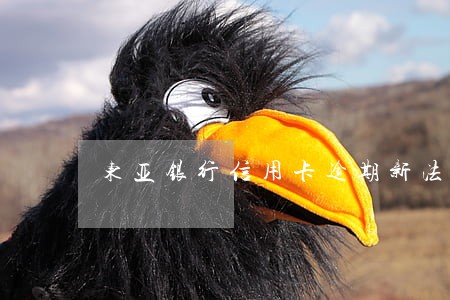东亚银行信用卡逾期新法规
