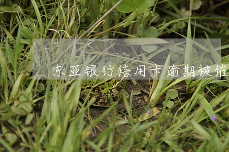 东亚银行信用卡逾期被催收